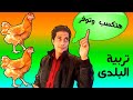 Baladi Chicken In Egyption Farms And Method Of Rearing 