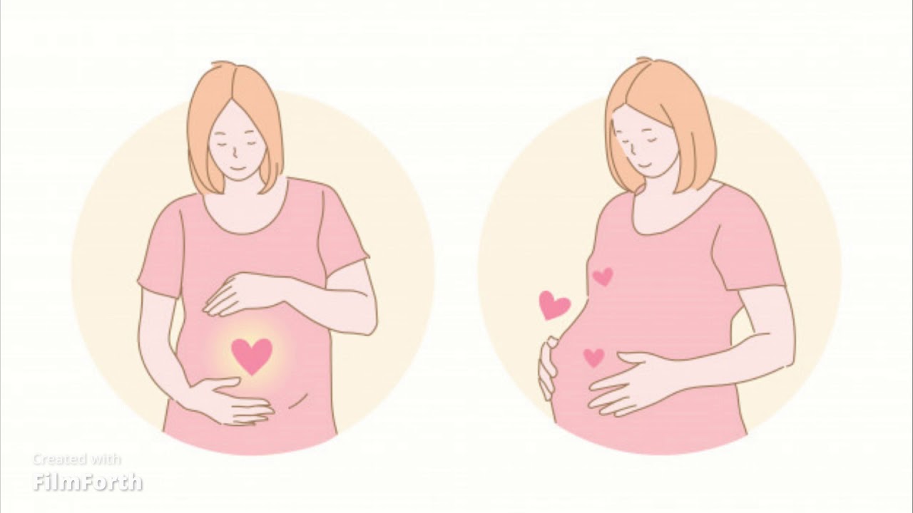 Estimulación Prenatal Youtube