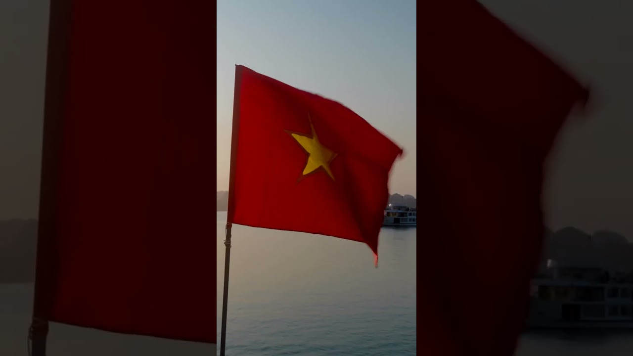 Vietnam Reel