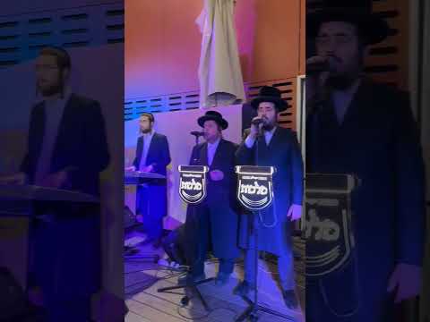 יחיאל שטיין & מלכות & ברוך ויזל & חסידימלעך #live