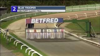 2018 GMG PUPPY CLASSIC FINAL - T2 BLUE TROOPER