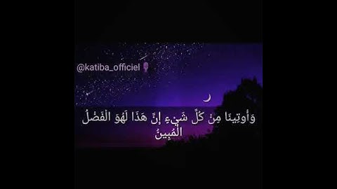 ايات بينات من الذكر الحكيم تأخذك الى عالم اخر تلاوة خاشعة