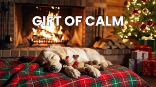🔴 Unboxing Serenity: Christmas Gift Fireplace Ambience & Puppy Music for Mental Renewal HD 🎁✨