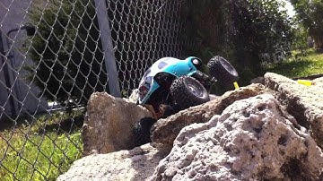 Custom crawler vw baja bug