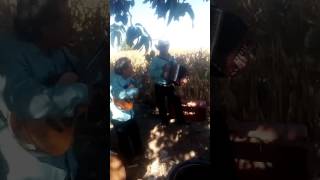 Compa Indalecio y los valacachis