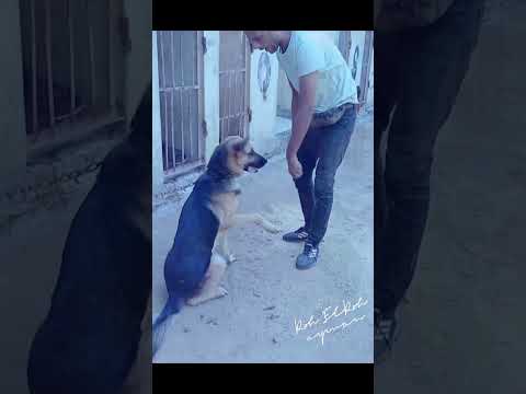 هو احنا لسه عملنا حاجه