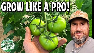Master Tomato Growing with These 8 Pro Tips 🍅🔥