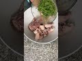 Recette facile, purée crémeuse viande, fondante et asperges grillées #cooking #food #recipe