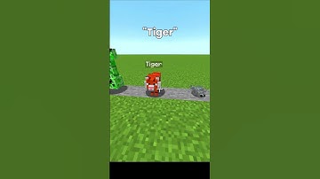 Minecraft Secret NameTags..!😱 pt.2