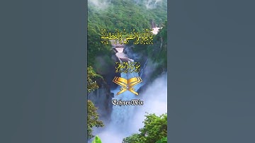 حالات واتس ـ سورة الفجر ـ الاية (٢٧ل٢٨) ـ الشيخ | عبد الباسط