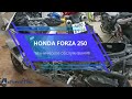 Honda Forza250 техническое обслуживание