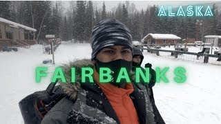 Fairbanks, Alaska || Dog Sledding || Chena Hot Springs || Aurora Ice Museum || Nature