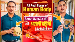 Fullvideo-All Real Bones Of Human Body इसन क शरर क सभ असल हडडय कस हत ह