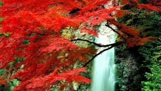 Osennim Listopadom - Autumn Leaf Fall