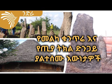 ቪዲዮ: ማስገቢያ መሳሪያዎች፣ መንገዶች እና ስልቶች