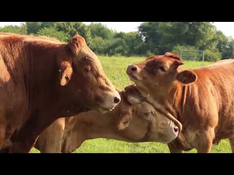 Trame Verte et Bleue en plaine : allier agriculture et biodiversité