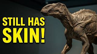 Why Is “Dakota” the Edmontosaurus So Well Preserved