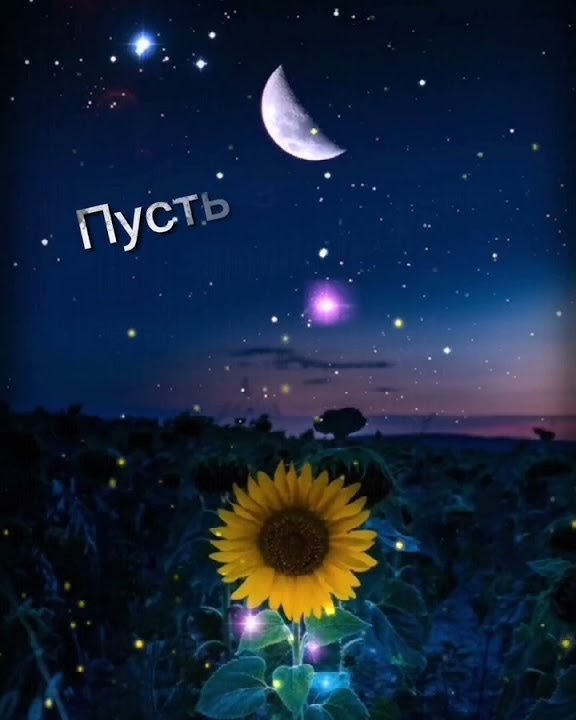 спокойной ночи #сладкихснов - YouTube