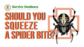 Should you Squeeze the Pus out of a Spider Bite?