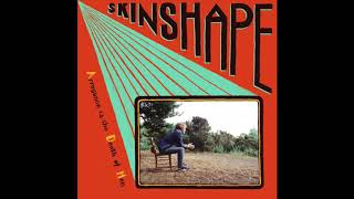 Skinshape - Flight Of The Erhu