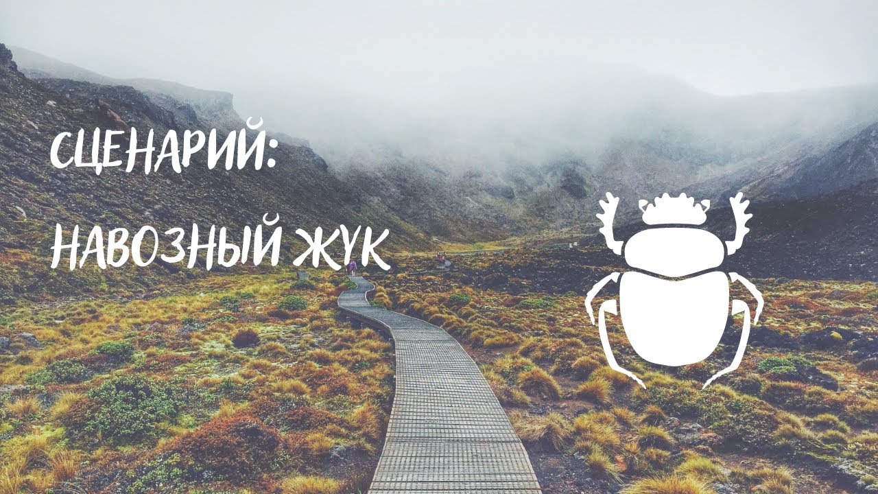 Сценарий: Навозный Жук - Как Преодолеть Препятствия и Найти Смысл в ...