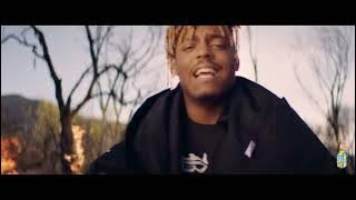 209_Notes_-_Loxiie_Dee(music video)Amapiano remix