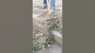 Simple smart tool for cleaning grass on cast iron #shorts