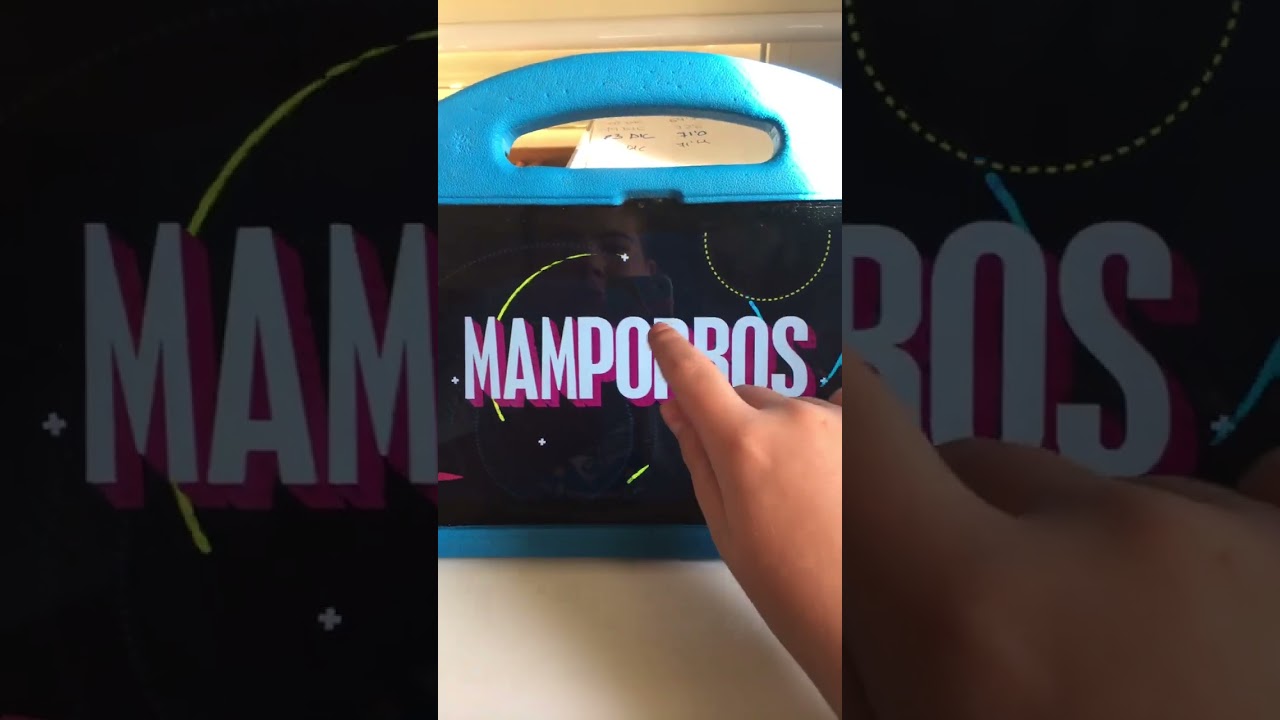 Mamporros