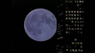 Boom Bip - Last Walk Around Mirror Lake (Boards of Canada Remix)