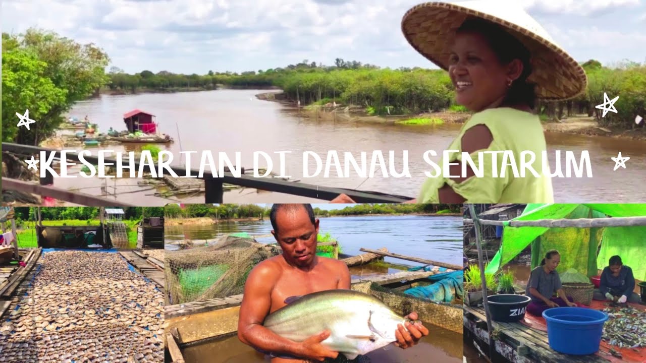 Mengintip Kampung Nelayan Desa Laboyan Danau Sentarum