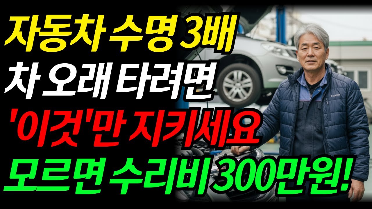 차 수명 3배 늘리는 비결, 차 오래 타는 사람들은 이걸 꼭 합니다. 수리비 폭탄 맞기 전 보세요!