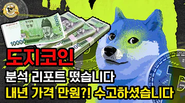 도지코인 분석 리포트 떴습니다 내년 가격 만원이랍니다 수고하셨습니다