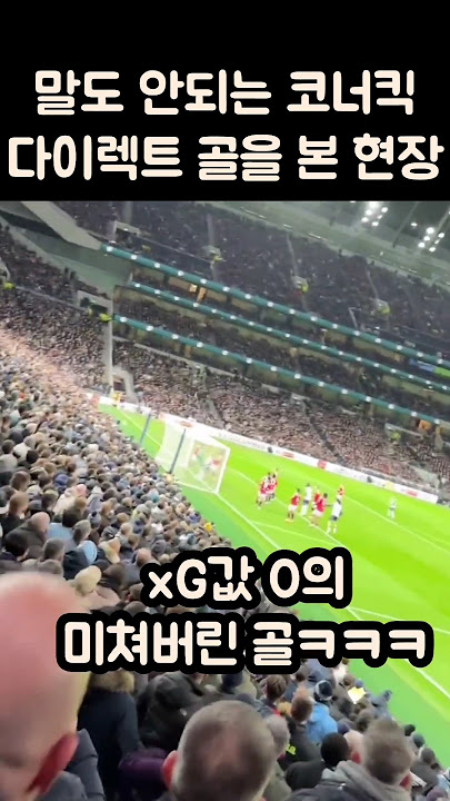 손흥민 코너킥 다이렉트 골을 본 현장 반응ㅋㅋㅋㅋ