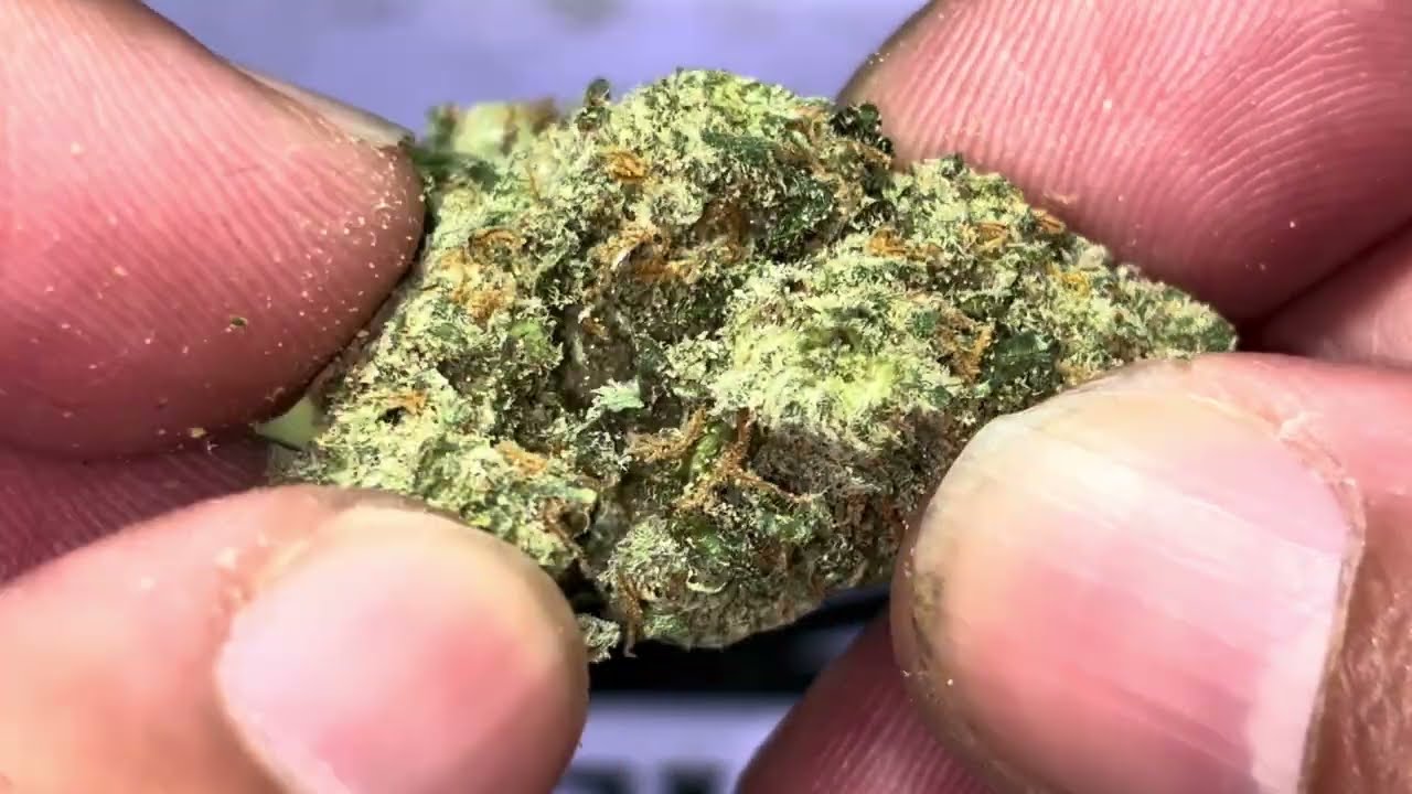 Объявлен победитель розыгрыша призов Revelry Hemp - Jack Exotic THCA Flower (для помещений)