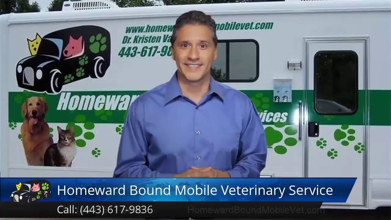 Veterinarian in Bel Air MD Reviews Serving Harford County Homeward