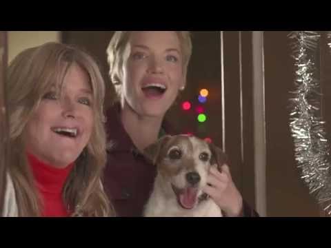 Holiday Road Trip | Trailer (2013) | Ashley Scott, Patrick Muldoon, Shelley Long