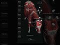 Forelimbs muscle song Follow and comment for APP✨Veterinary Medicine 10 muscle #muscle #physiology