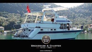 Trader 445