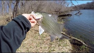 SEARCHING FOR WHITE BASS? NO PROBLEM!