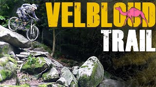 Velbloud Trail