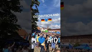 friedliches sommerfest in wolmirstedt für gemeinschaft und zusammenhalt 30.08.2025