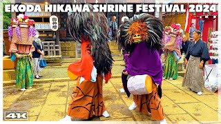 重さ6kgを超える大きな獅子頭!!【江古田氷川神社例大祭 2024】三匹