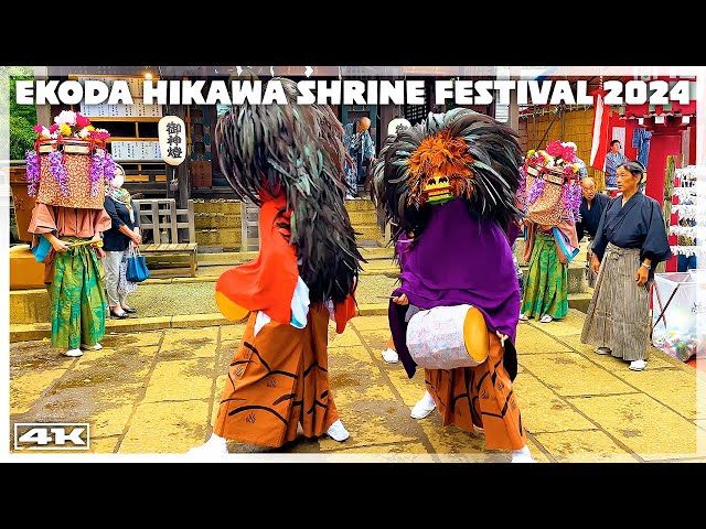 重さ6kgを超える大きな獅子頭!!【江古田氷川神社例大祭 2024】三匹
