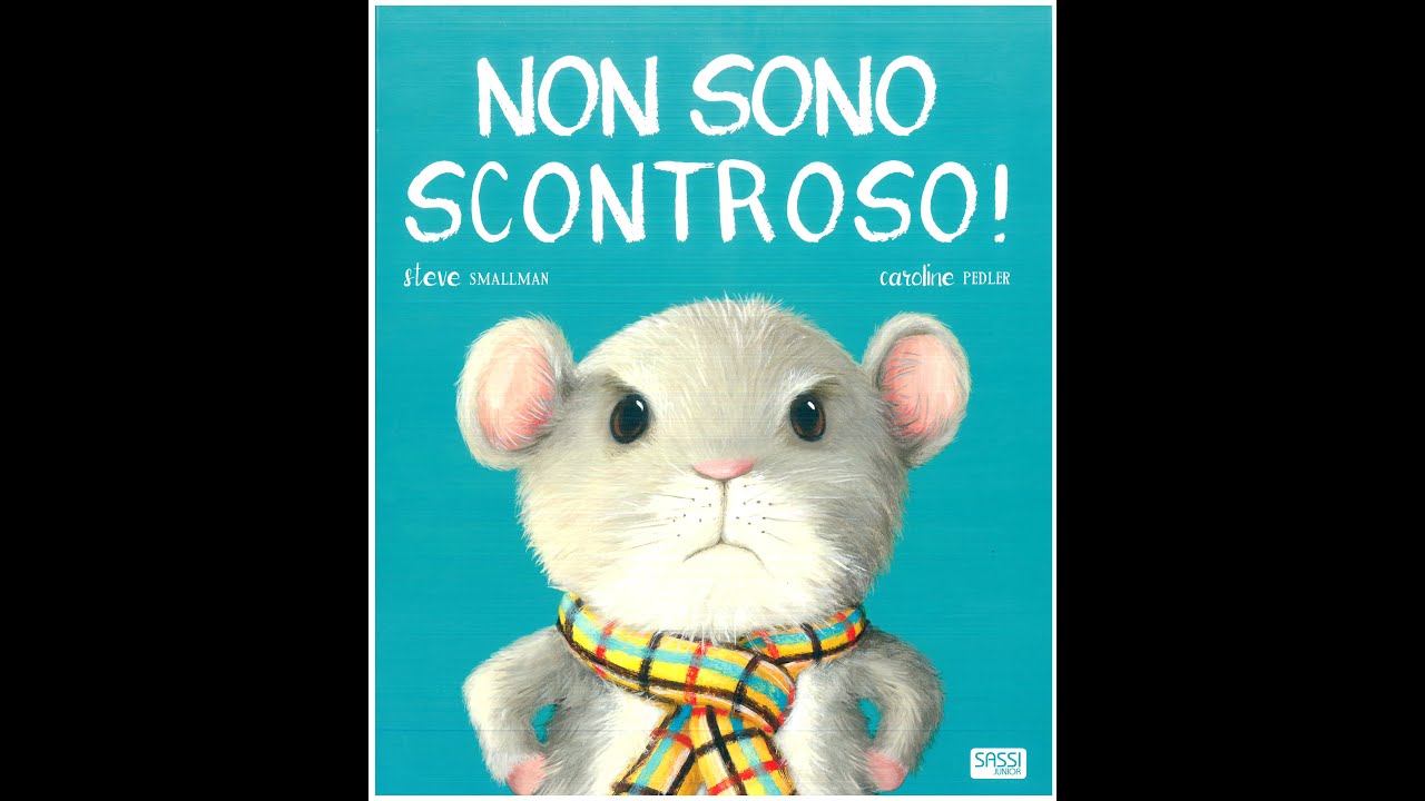 Non Sono Scontroso