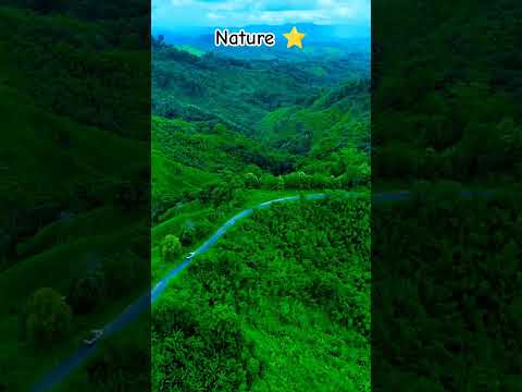 One side full of #destruction, other side full of peace #warvsnature #war #nature #travelwithshahid