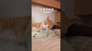 污泥洗衣店營業中｜媽寶貓日常