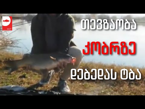 თევზაობა დიდ კობრზე (2019) - კარპფიშინგი  - 3 Day Carp fishing session