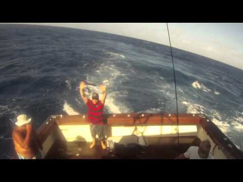 More Black Marlin Fishing Part 1