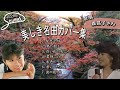 #288 #森昌子 #智恵子抄 #君の名は #白い花の咲く頃 #君待てども#水色のワルツ#君いとしき人よ #涙の渡り鳥 #歌詞付き