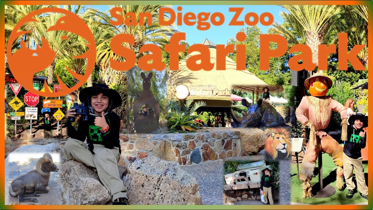 SAFARI PARK San Diego Zoo!! YouTube